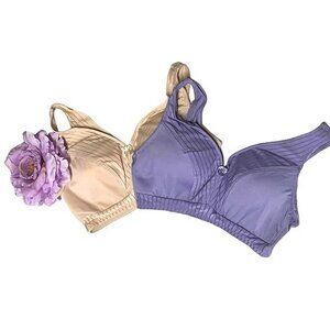 Rhonda Shear Striped Mesh Curve Envy Pin-Up Bra 2 Pk MEDIUM
